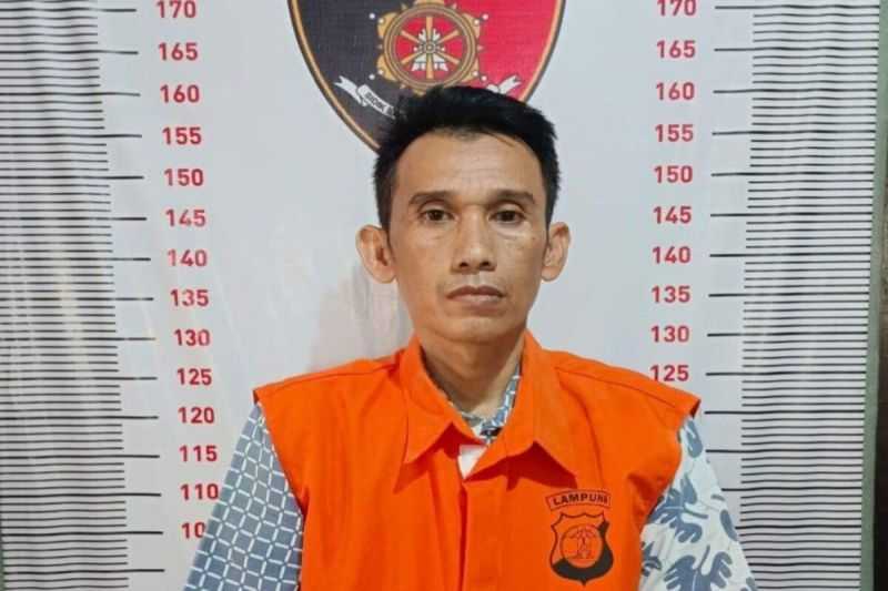 Polisi tangkap oknum calo CPNS di Lampung Selatan