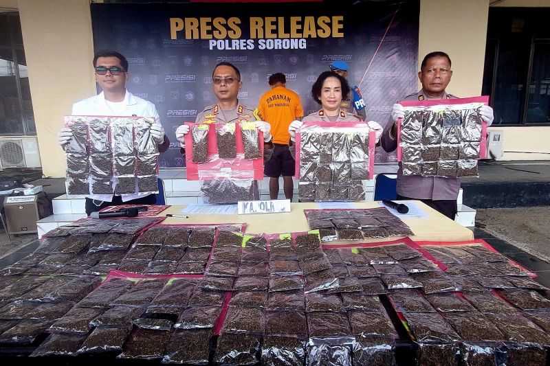 Polisi tangkap pengedar 5,4 kg ganja di Sorong
