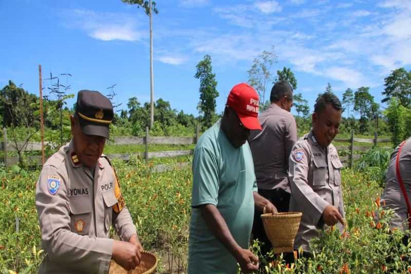 Polres Jayapura Dukung Peningkatan Tanaman Hortikultura