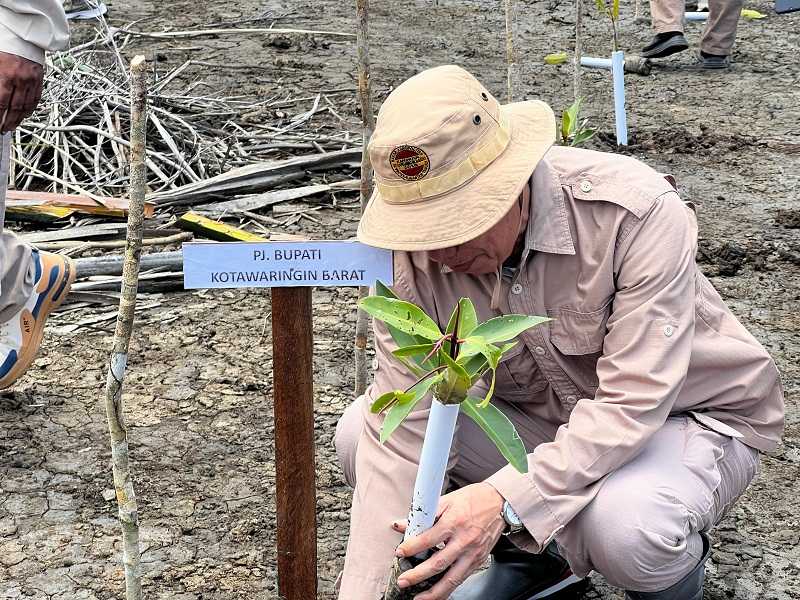 Potensi Abrasi Kalteng Tinggi, GAPKI Kelola 50 Hektare Lahan Mangrove