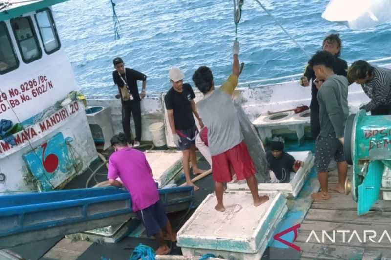 Potensi Perikanan di Biak Dapat Dijadikan Sumber Pangan Lokal untuk Cegah Stunting