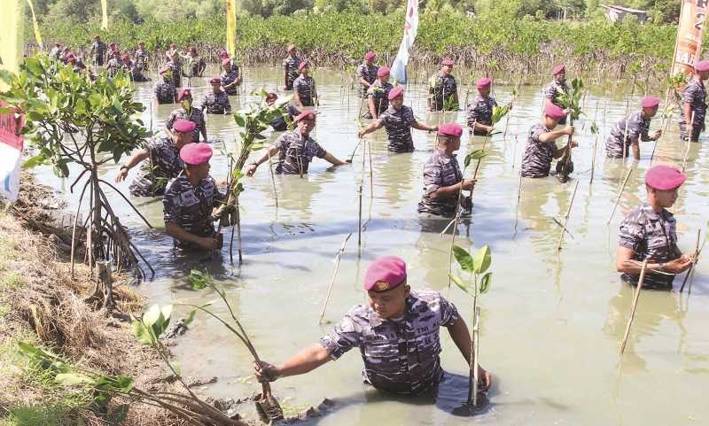 PRAJURIT MARINIR TANAM BIBIT MANGROVE