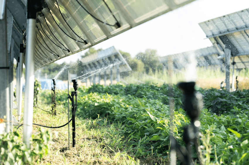 Prancis Setujui Proyek Agrivoltaic 450 MW