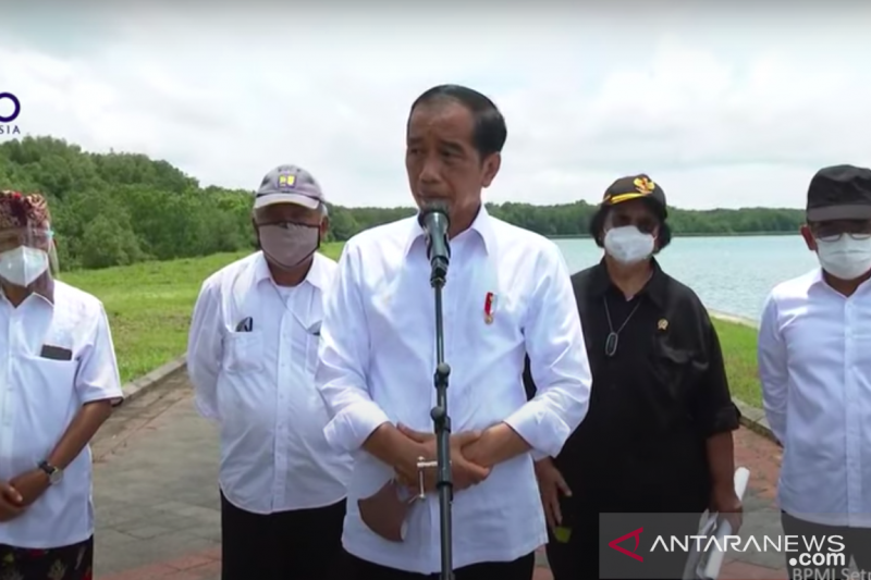 Presiden Akan Ajak 20 Pimpinan G20 Tinjau Konservasi Mangrove di Bali