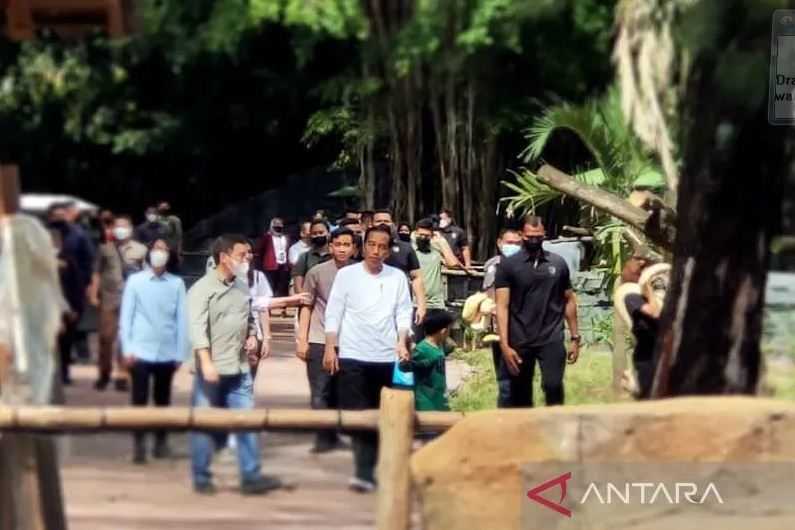 Presiden Jokowi Bersama Keluarga Kunjungi Solo Safari