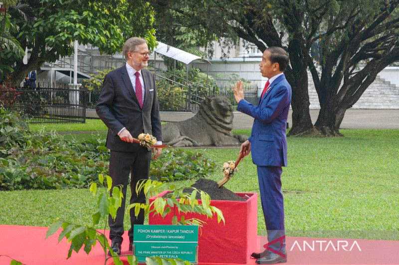 Presiden Jokowi Bersama PM Ceko Tanam Bibit Kamper