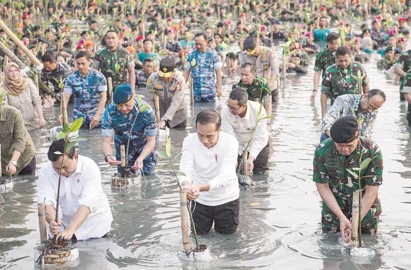 PRESIDEN JOKOWI MENANAM MANGROVE