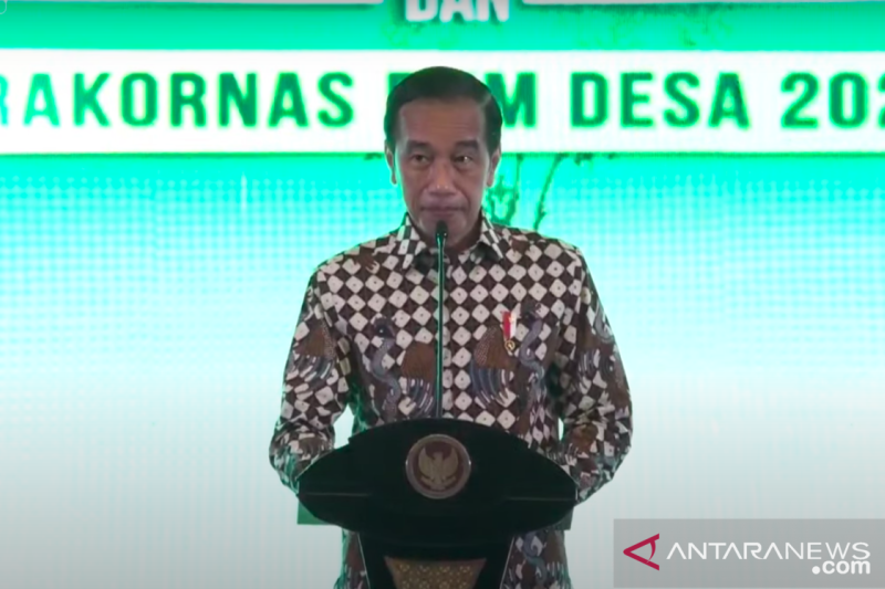 Presiden Jokowi Minta BUM Desa Bantu Tumbuhkan Usaha Rakyat