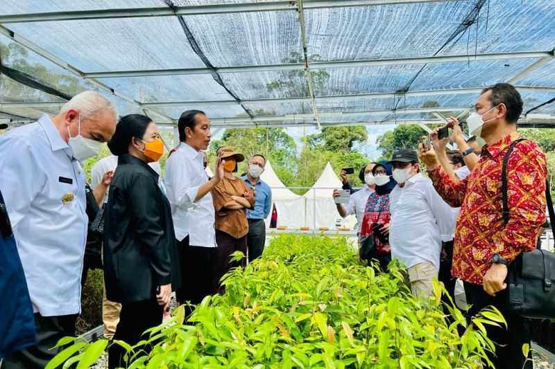 Presiden Jokowi Tegaskan Persemaian Mentawir Ini Sebagai Wujud Keseriusan Tata Lingkungan