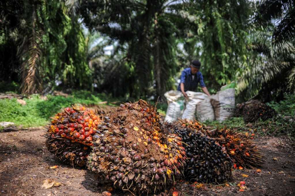 Produksi Meningkat