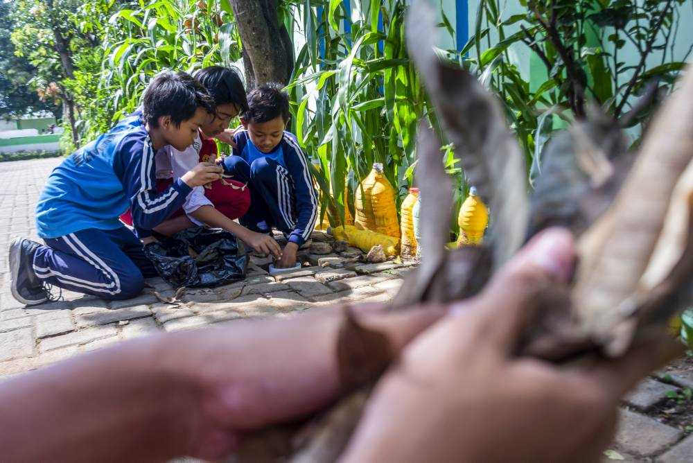 Program sekolah ramah lingkungan