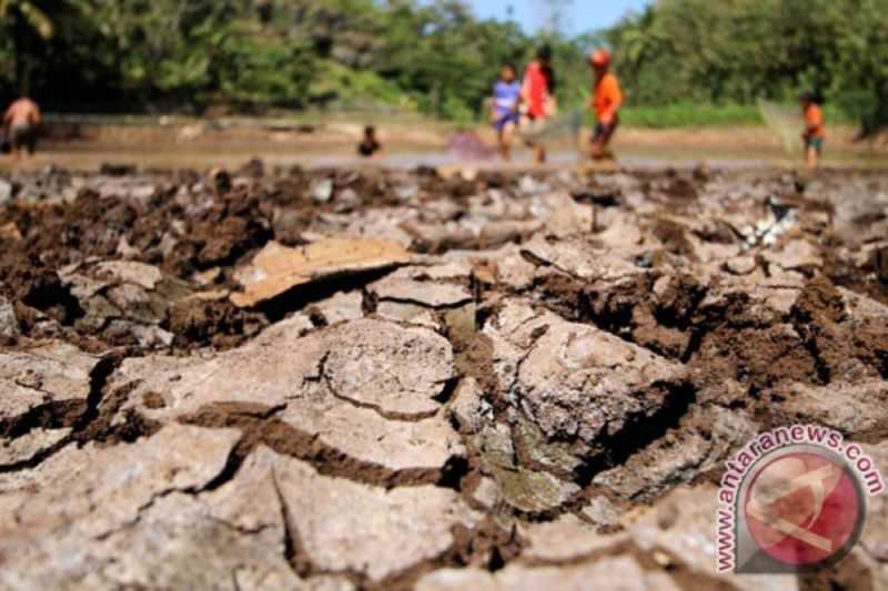 PSBA UGM dorong optimalisasi Pamsimas hadapi kemarau 2023