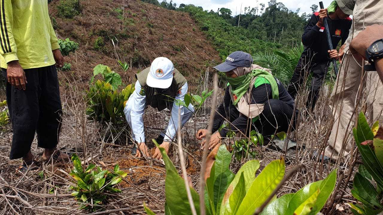 PTPN V Gandeng Masyarakat Mahasiswa Tanami Hutan Bukit Suligi