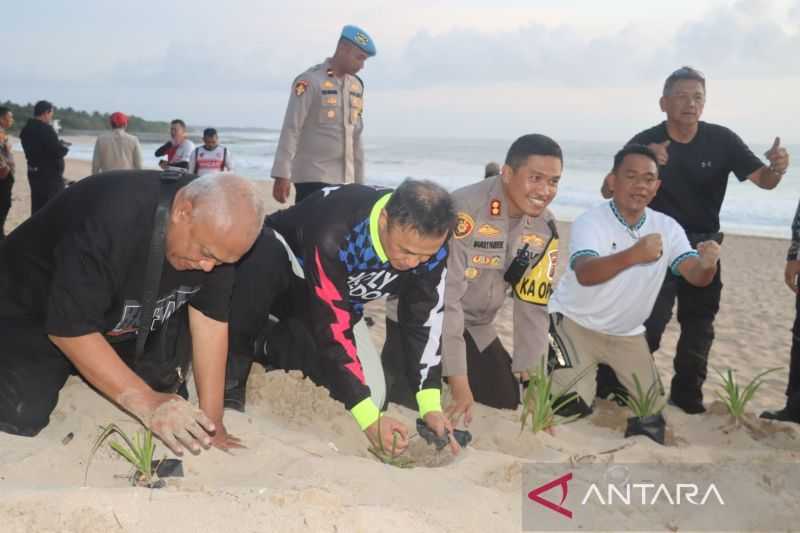 Ratusan Tukik Dilepasliarkan di Pantai Pangumbahan