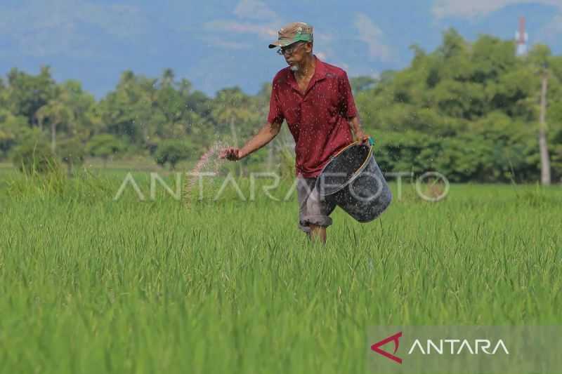 Realisasi KUR pertanian hingga Juli 2024 di Aceh capai Rp493 miliar