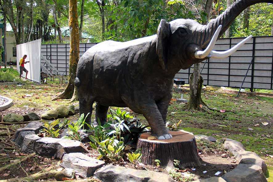 Revitalisasi Kebun Binatang Medan Zoo