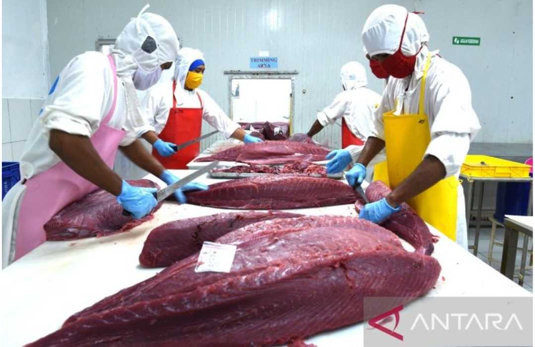 RI-Jepang Sepakati Pos Tarif Ekspor Nol Persen Produk Perikanan Tuna