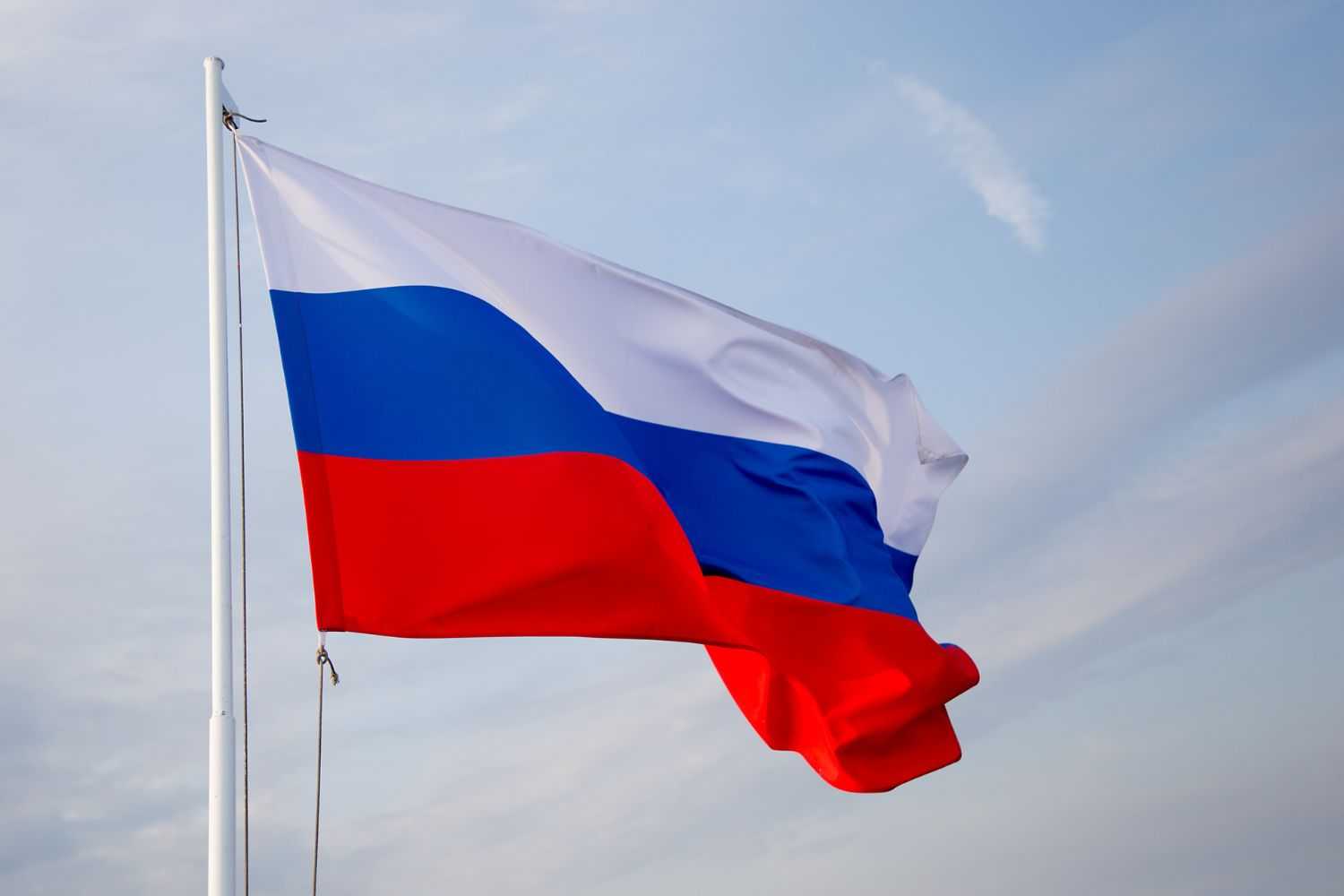 RI-Russia Bahas Larangan Ekspor Produk Kelapa