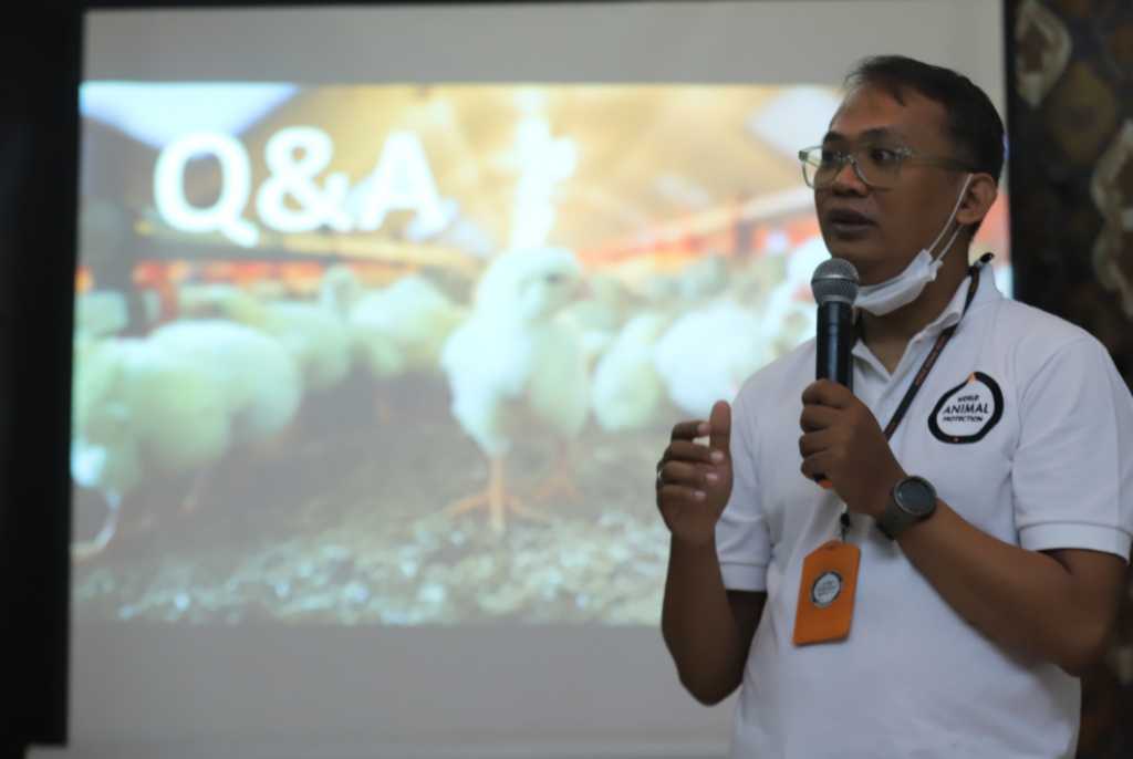 Riset World Animal Protection Mengidentifikasi Sejumlah Emiten Resto Cepat Saji Abaikan Prinsip Kesejahteraan Ayam Ternak 3