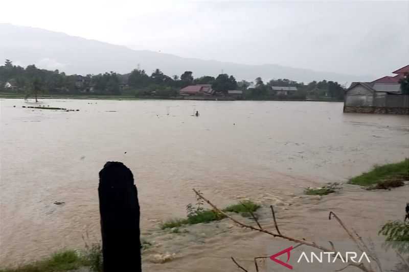 Rumah dan Padi Warga Aceh Besar Terendam Banjir Akibat Embung Jebol