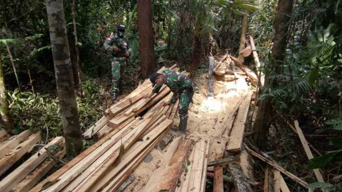 Saat Berpatroli di Hutan, Prajurit TNI Menemukan Tumpukan Barang, Diduga Hasil Kegiatan Ilegal