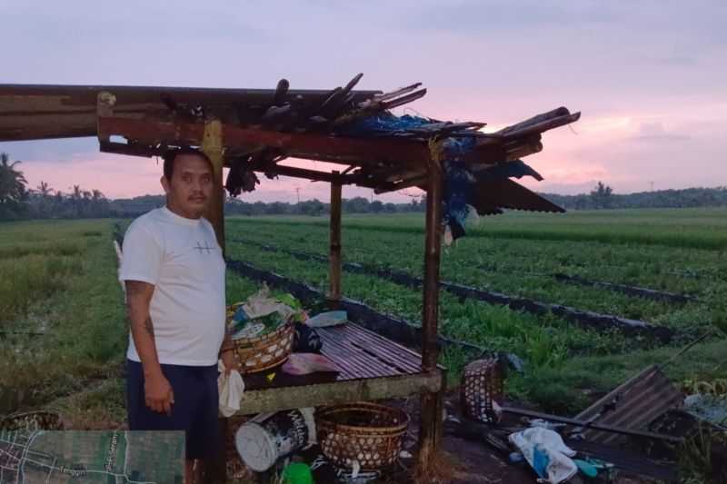 Saat Memanen Semangka, 12 Orang Tersambar Petir di Jembrana Bali