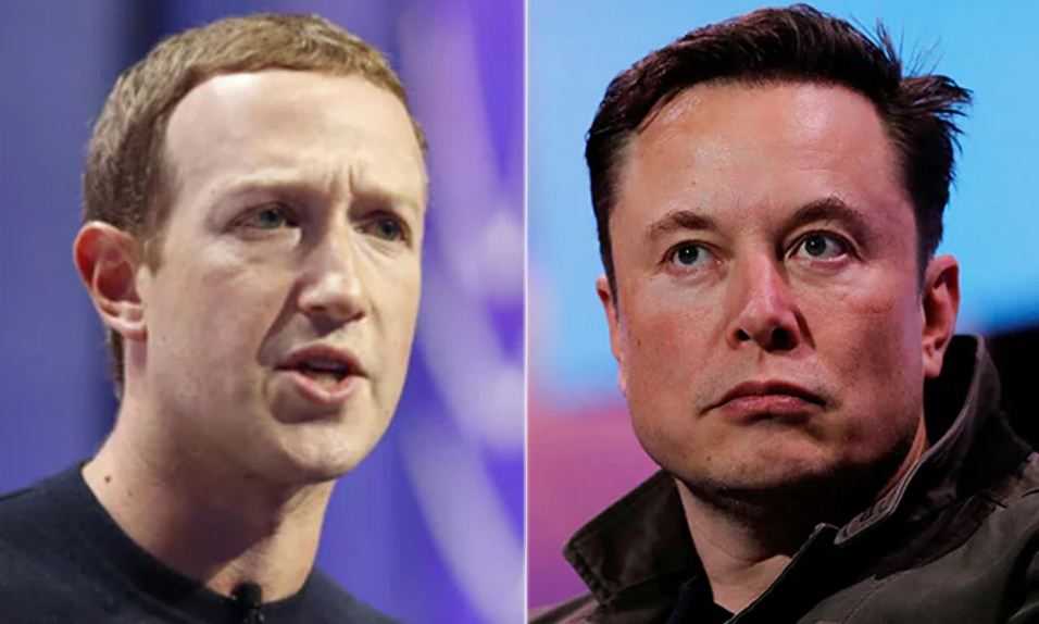 Saatnya Move On, Mark Zuckerberg Stop Rencana 'Duel' dengan Elon Musk
