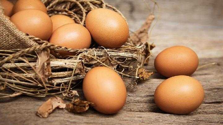Salah Satu Efek Utama dari Makan Telur Ayam