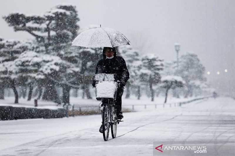 Salju Lebat Tewaskan Delapan Orang di Jepang