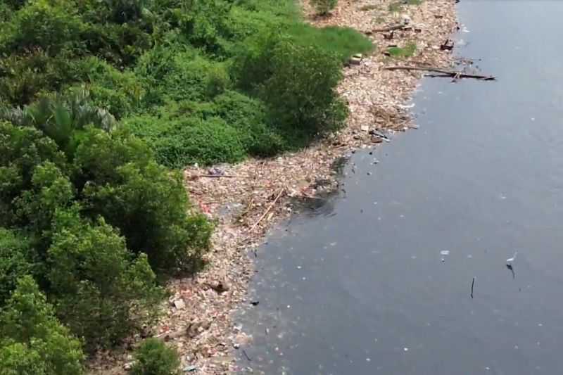 Sampah Menumpuk di Hutan Mangrove Muara Angke