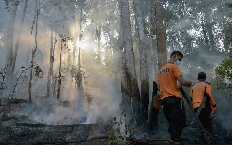 Satgas Karhutla Riau Fokus Padamkan Tiga Lokasi Kebakaran Lahan Gambut