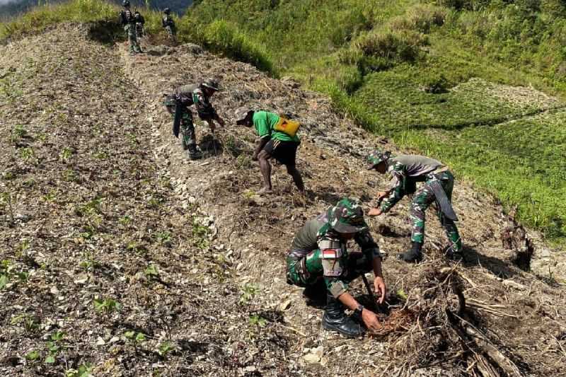 Satgas Yonif 753/AVT Bantu Buka Lahan Pertanian Warga di Distrik Kalome, Kabupaten Puncak Jaya