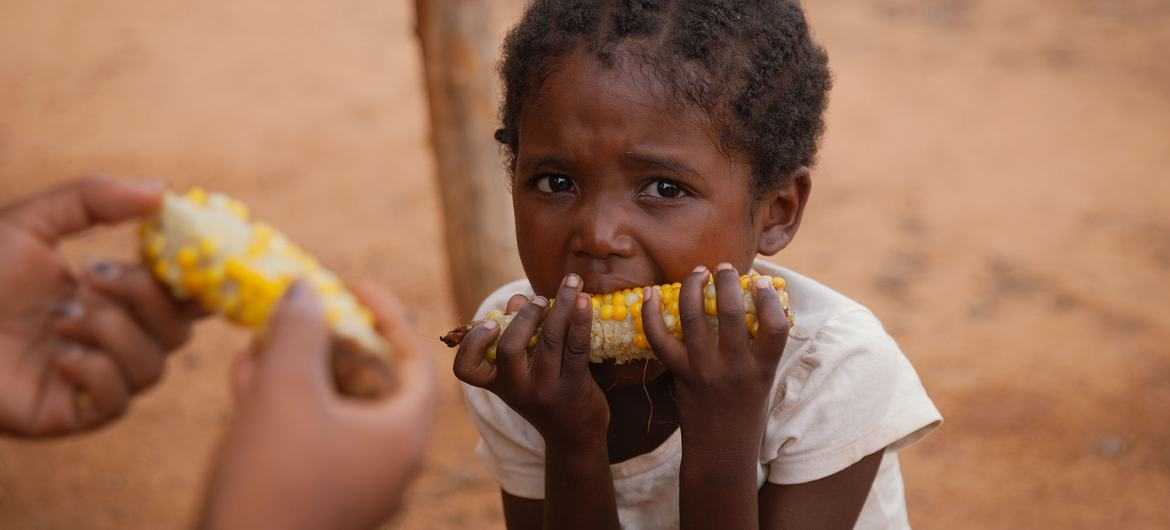 Sebanyak 27 Juta Anak Kelaparan Terdampak Krisis Iklim Tahun 2022