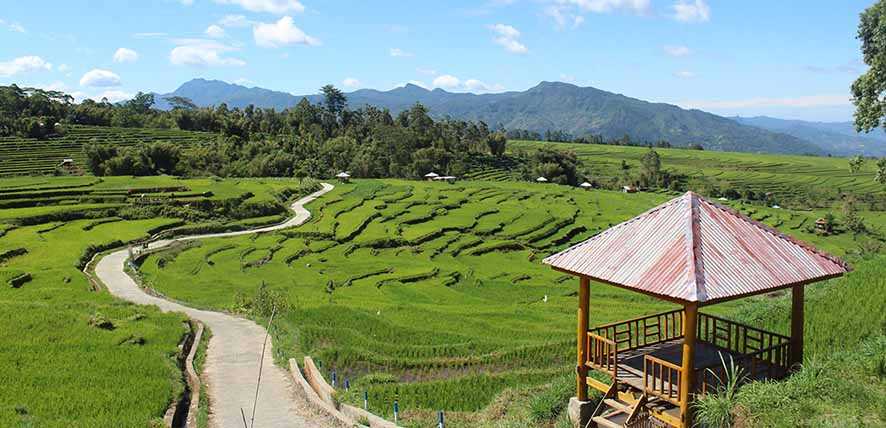 Sejuknya Udara di Terasering Kampung Galung