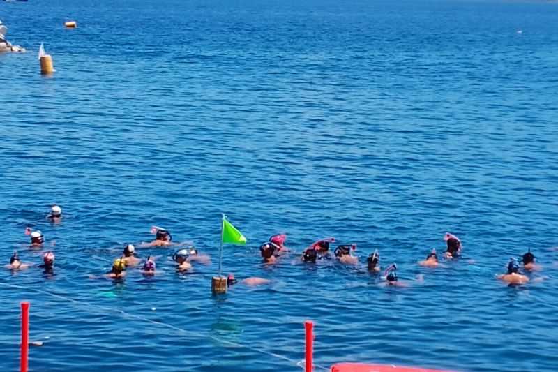 Sejumlah provinsi ikut kejuaraan fin swimming Kasal Cup di Manado