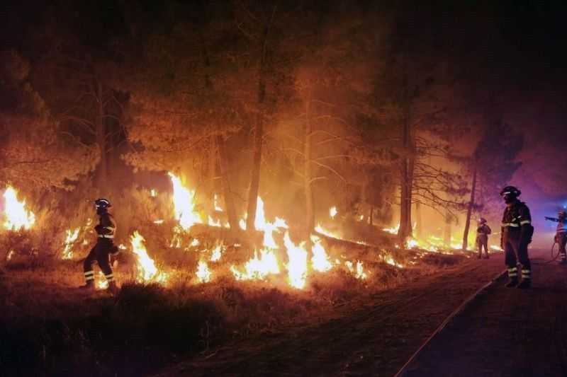 Sekitar 19 Ribu Orang Harus Dievakuasi akibat Kebakaran Hutan di Yunani