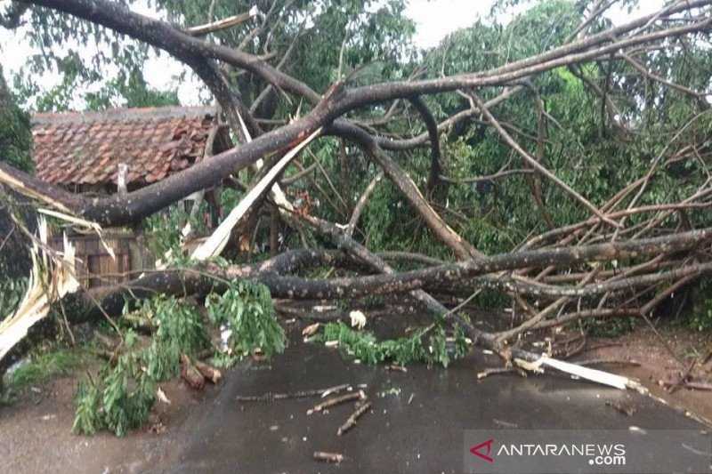 Selama Masa Pancaroba , BPBD Lebak Minta Warga Waspada Cuaca Ekstrem