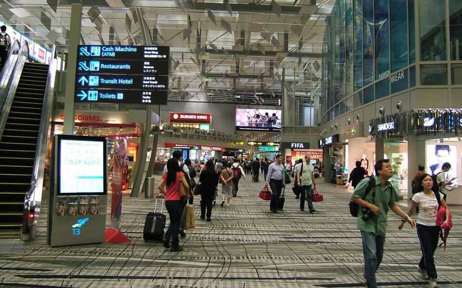 Semakin Dekat, Cacar Monyet Terdeteksi di Singapura, Seorang Pria yang Transit di Bandara Changi Ternyata Positif