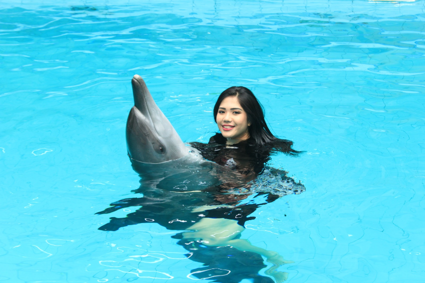 Semarak Happy World Dolphin Day 2024 di Taman Safari Bogor, Buruan Pesan Tiketnya