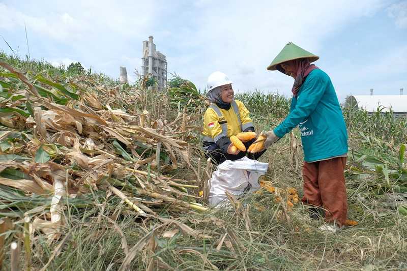 Semen Gresik Berdayakan 361 Petani Sargem di Rembang
