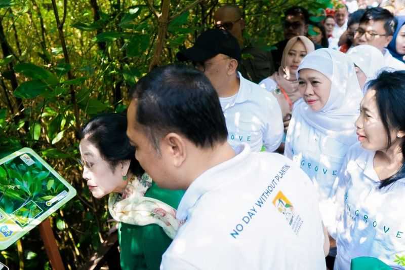 Semoga Cepat Terwujud, Gubernur Jatim Optimistis Kebun Raya Mangrove Sejahterakan Masyarakat