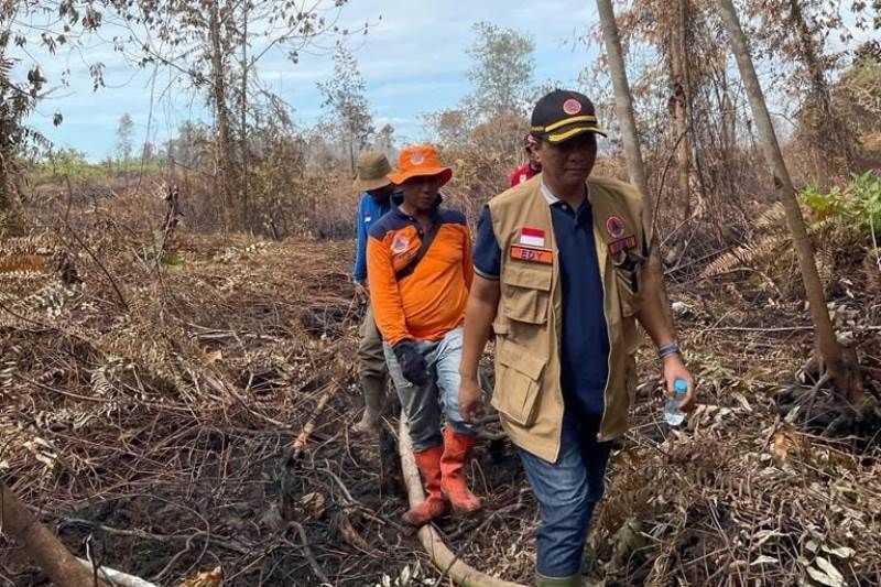 Semoga Karhutla Tidak Meluas, BPBD Riau Catat 131 Hektare Lahan Terbakar