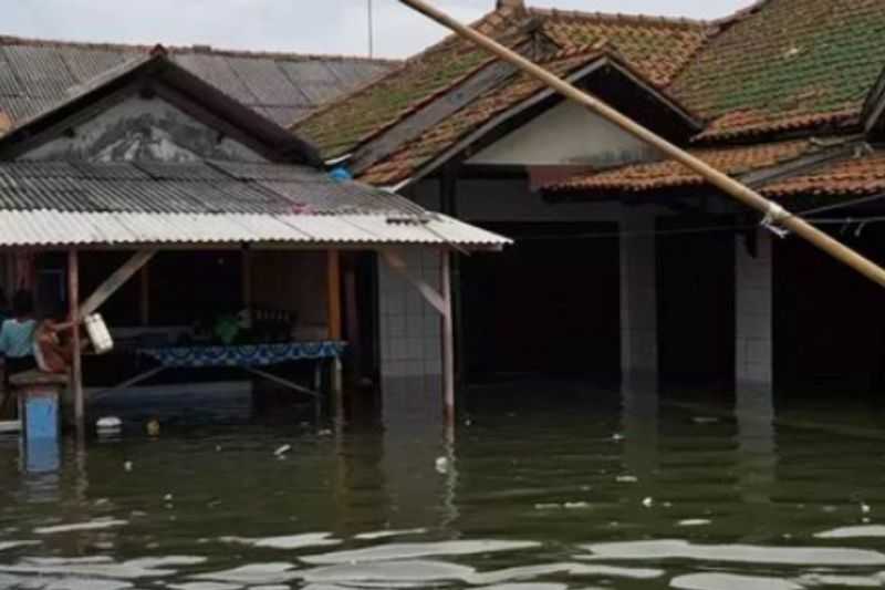 Semoga Segera Dapat Bantuan, Dua Desa di Pesisir Utara Subang Dilanda Banjir Rob