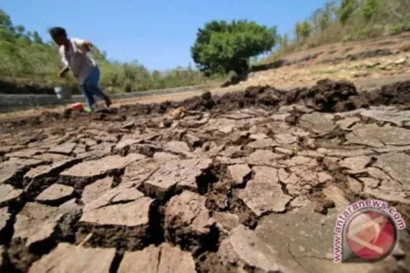 Semoga Segera Turun Hujan, BPBD DIY: Pasokan Air di Empat Kabupaten Berstatus Darurat Masih Aman