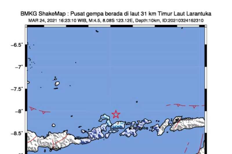 Semoga Tidak Berdampak Parah, BNPB Terima Laporan Kerusakan Akibat Gempa Larantuka