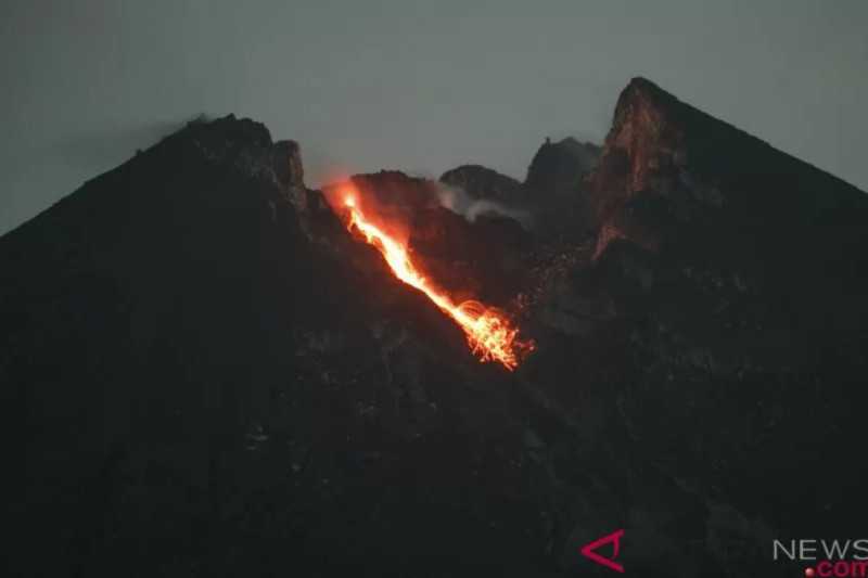 Semoga Tidak Membesar dan Makin Gawat, Guguran Lava Pijar Meluncur 15 Kali dari Gunung Merapi