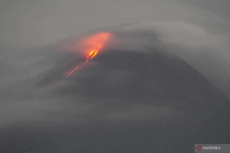 Semoga Tidak Terjadi Ledakan, Kubah Lava Gunung Merapi Tumbuh Hingga 10 Ribu Meter Kubik Per Hari