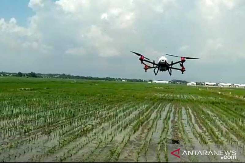 Semprot Hama dan Penyakit, DKPP Probolinggo Gunakan Drone