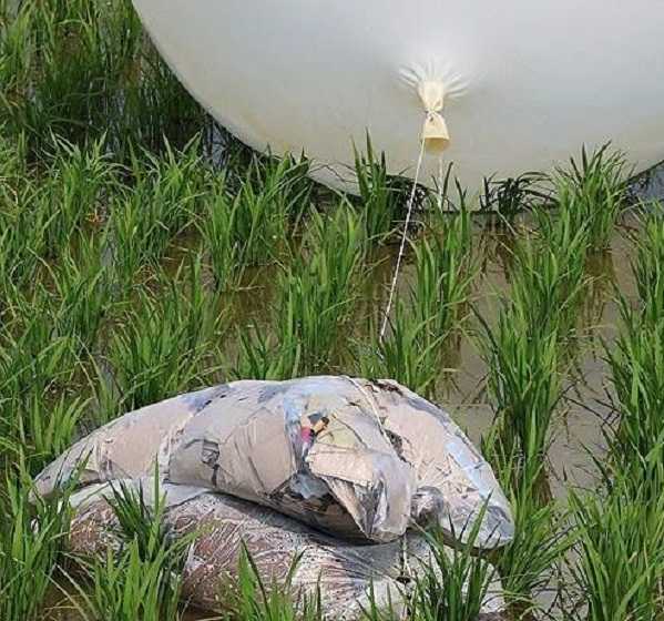 Seoul: Parasit Ditemukan di Balon Sampah yang Dikirim Korea Utara