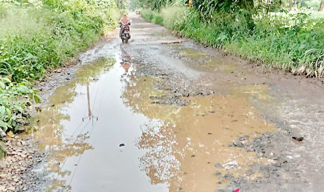 Sepanjang 340 Kilometer Jalan Bogor Rusak